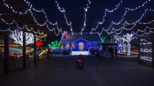Amazing Christmas light display in aid of Cam Sight